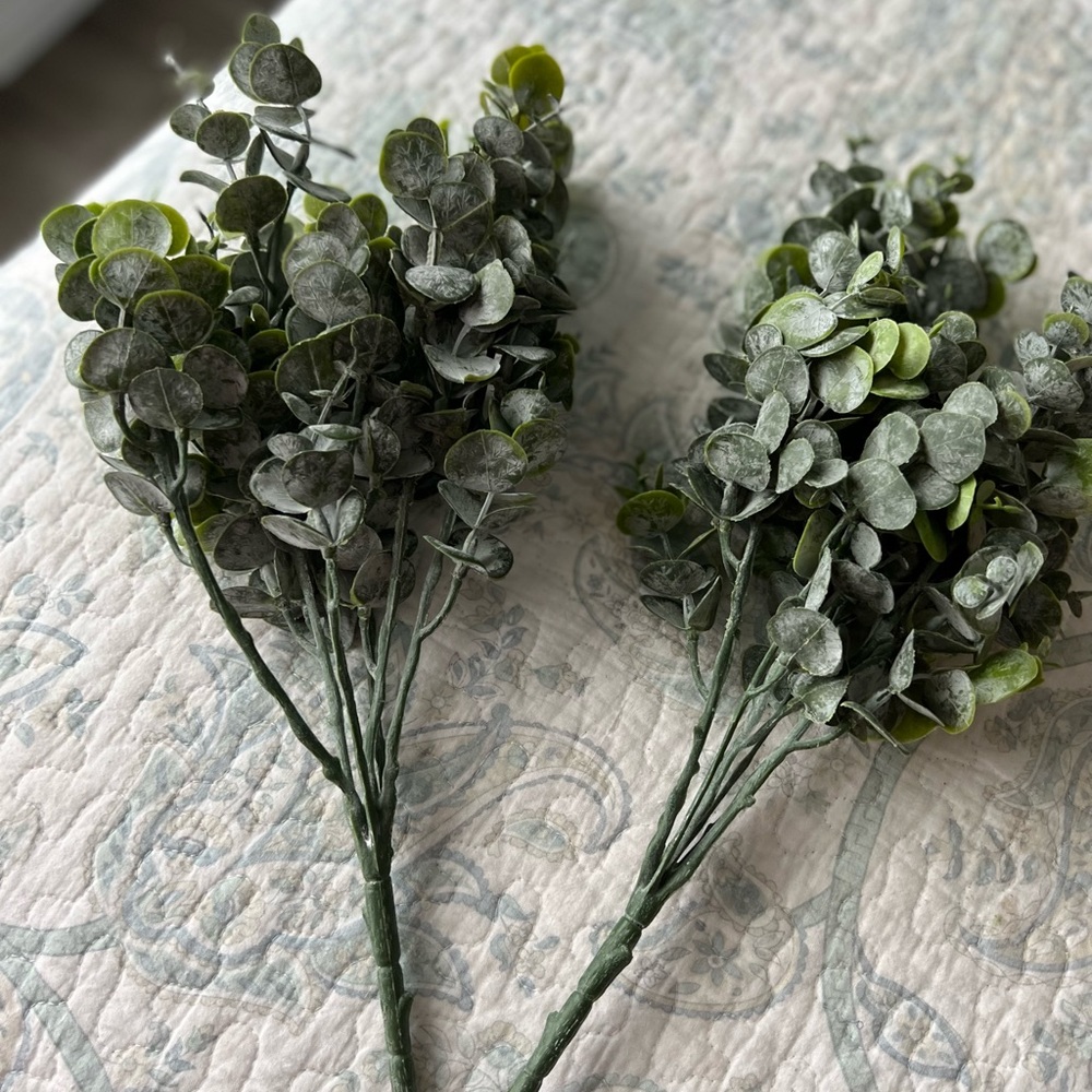 Ling’s moments eucalyptus greenery